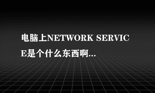 电脑上NETWORK SERVICE是个什么东西啊,有什么用啊