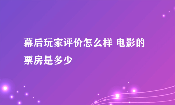 幕后玩家评价怎么样 电影的票房是多少