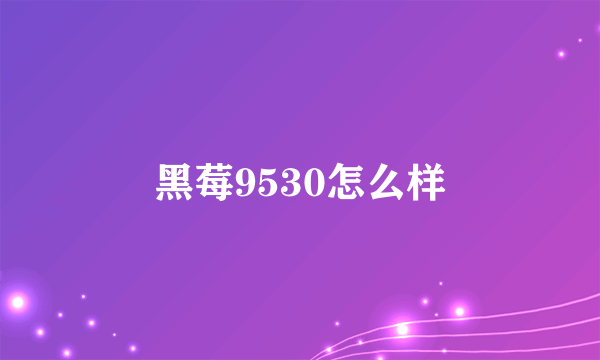 黑莓9530怎么样