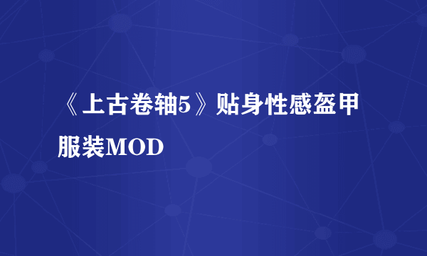 《上古卷轴5》贴身性感盔甲服装MOD