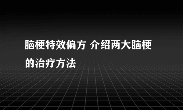 脑梗特效偏方 介绍两大脑梗的治疗方法