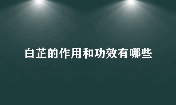 白芷的作用和功效有哪些