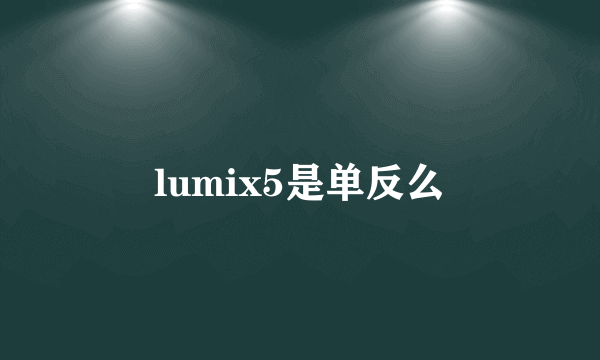 lumix5是单反么