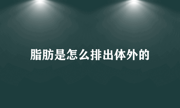 脂肪是怎么排出体外的