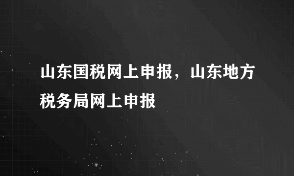 山东国税网上申报，山东地方税务局网上申报