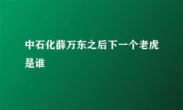 中石化薛万东之后下一个老虎是谁