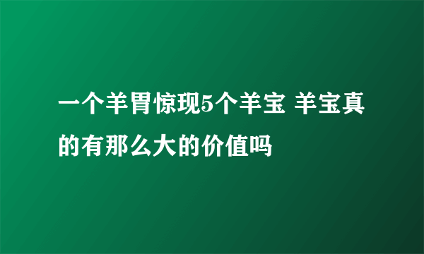 一个羊胃惊现5个羊宝 羊宝真的有那么大的价值吗