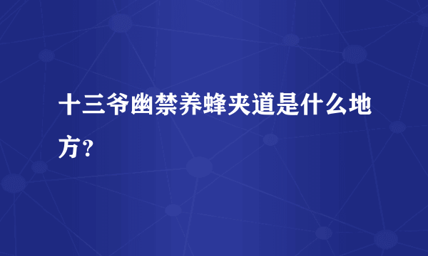 十三爷幽禁养蜂夹道是什么地方？