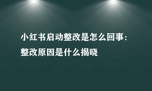 小红书启动整改是怎么回事：整改原因是什么揭晓