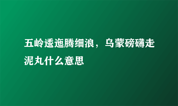 五岭逶迤腾细浪，乌蒙磅礴走泥丸什么意思