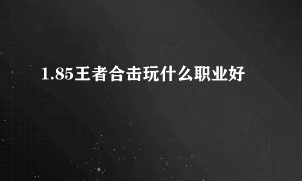 1.85王者合击玩什么职业好