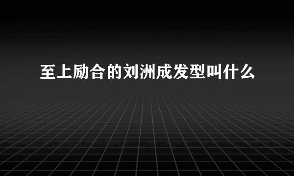 至上励合的刘洲成发型叫什么