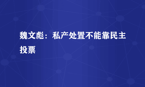 魏文彪：私产处置不能靠民主投票