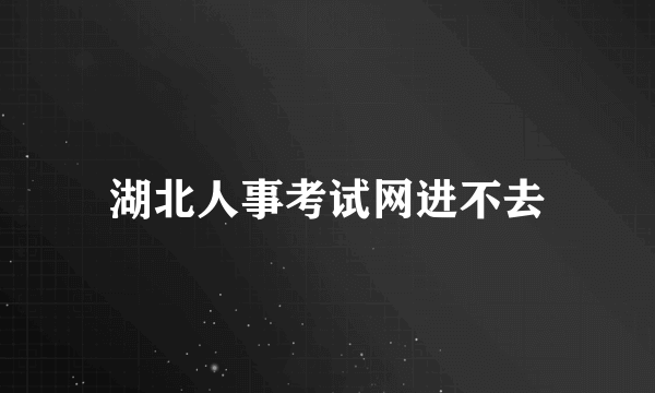 湖北人事考试网进不去