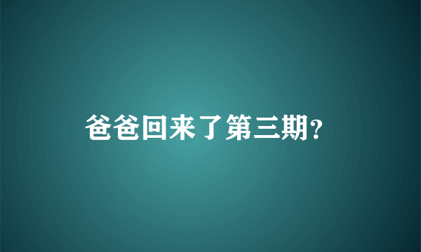 爸爸回来了第三期？