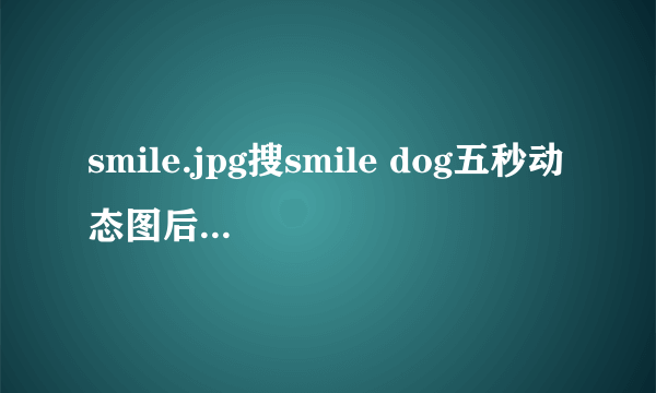 smile.jpg搜smile dog五秒动态图后悔了（背后有故事）