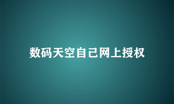 数码天空自己网上授权