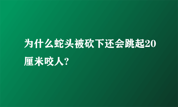 为什么蛇头被砍下还会跳起20厘米咬人?