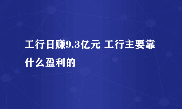 工行日赚9.3亿元 工行主要靠什么盈利的