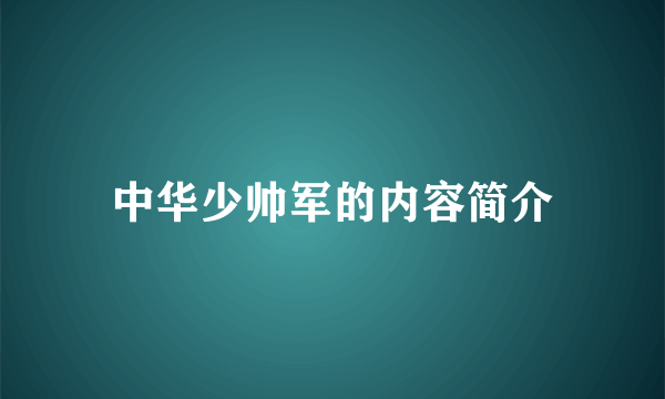 中华少帅军的内容简介