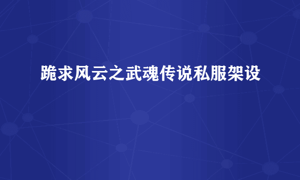 跪求风云之武魂传说私服架设