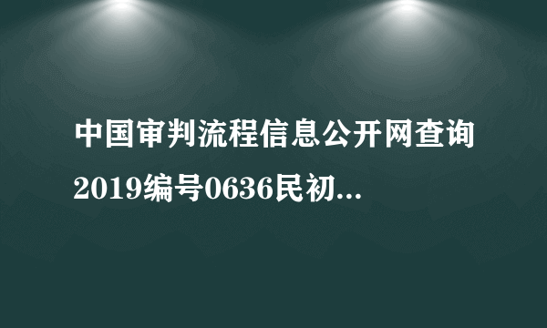 中国审判流程信息公开网查询2019编号0636民初300？