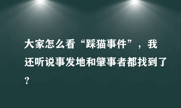 大家怎么看“踩猫事件”，我还听说事发地和肇事者都找到了？