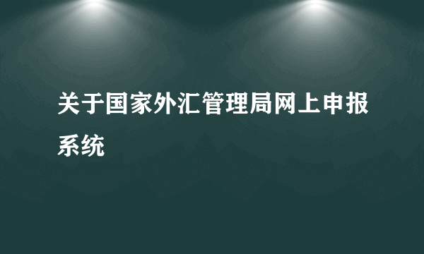 关于国家外汇管理局网上申报系统