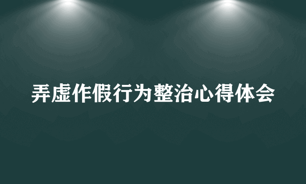 弄虚作假行为整治心得体会