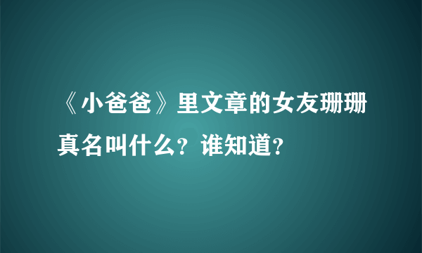 《小爸爸》里文章的女友珊珊真名叫什么？谁知道？