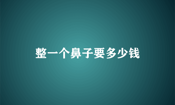 整一个鼻子要多少钱