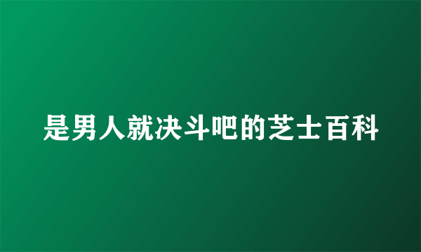 是男人就决斗吧的芝士百科