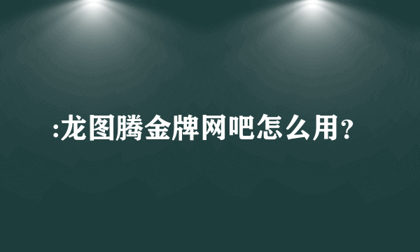 :龙图腾金牌网吧怎么用？