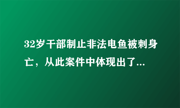 32岁干部制止非法电鱼被刺身亡，从此案件中体现出了哪些问题？