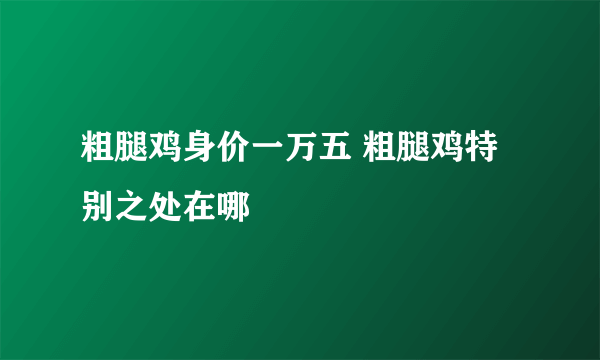 粗腿鸡身价一万五 粗腿鸡特别之处在哪