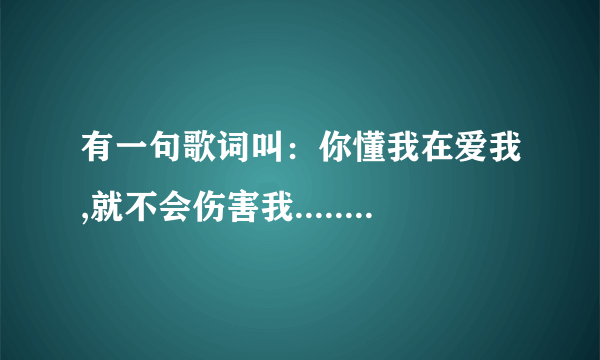 有一句歌词叫：你懂我在爱我,就不会伤害我......是什么歌