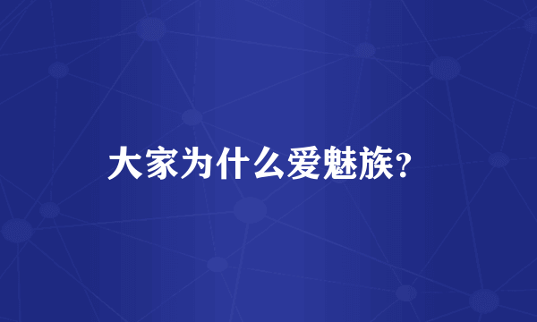 大家为什么爱魅族？