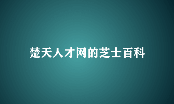 楚天人才网的芝士百科