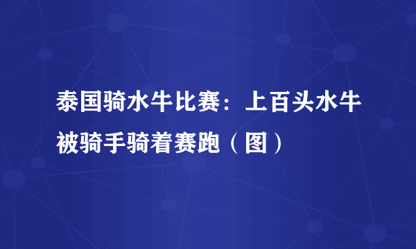 泰国骑水牛比赛：上百头水牛被骑手骑着赛跑（图）