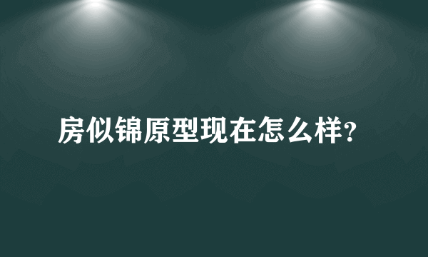 房似锦原型现在怎么样？