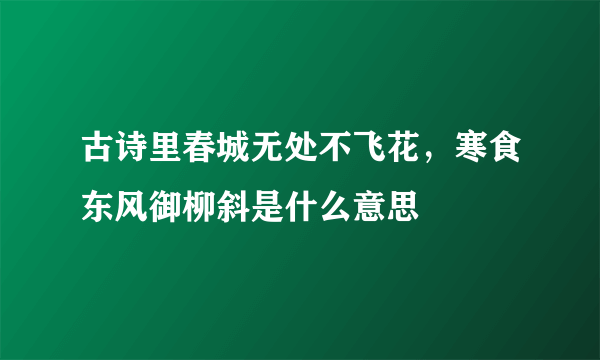 古诗里春城无处不飞花，寒食东风御柳斜是什么意思