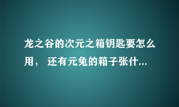 龙之谷的次元之箱钥匙要怎么用， 还有元兔的箱子张什么样子？