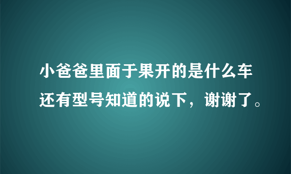 小爸爸里面于果开的是什么车还有型号知道的说下，谢谢了。