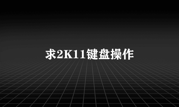 求2K11键盘操作