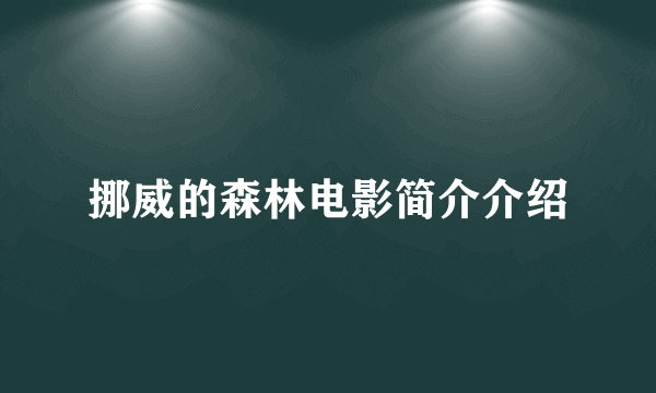 挪威的森林电影简介介绍