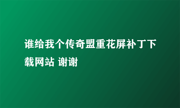 谁给我个传奇盟重花屏补丁下载网站 谢谢