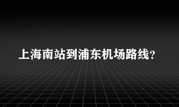 上海南站到浦东机场路线？