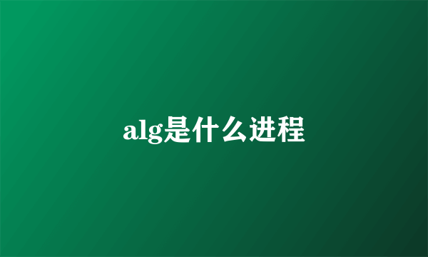 alg是什么进程