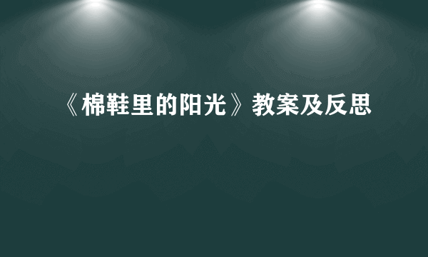 《棉鞋里的阳光》教案及反思