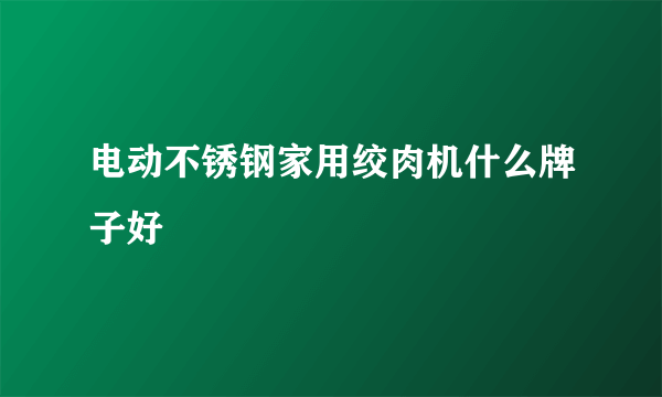 电动不锈钢家用绞肉机什么牌子好